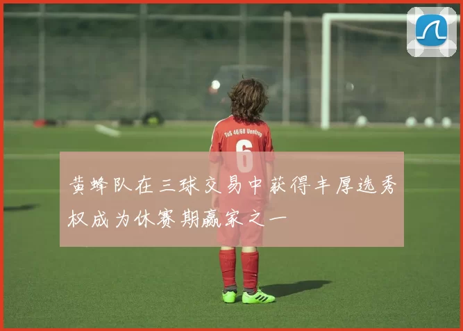 黄蜂队在三球交易中获得丰厚选秀权成为休赛期赢家之一